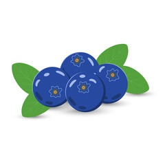 Vector illustration of a small heap of blueberries with leaves on a white background.