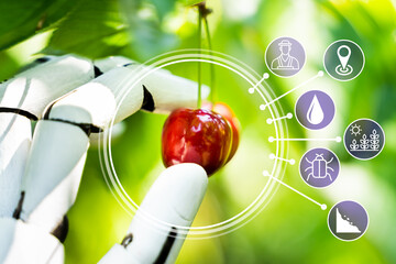 AI Farmer Assistant Picking Fresh Fruit