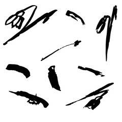 Image of flowers and spots