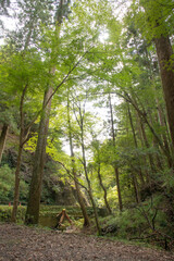 新城市観光　阿寺の七滝