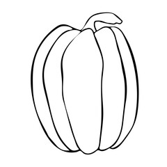 Vector sketch pumpkin. Hand drawn vector illustration in Doodle style. Can be used for vegan products, brochures, banner, restaurant menu, farmers market and organic food store.