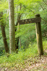 新城市観光　阿寺の七滝