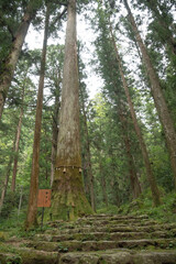 Fototapeta premium 新城市 鳳来寺山