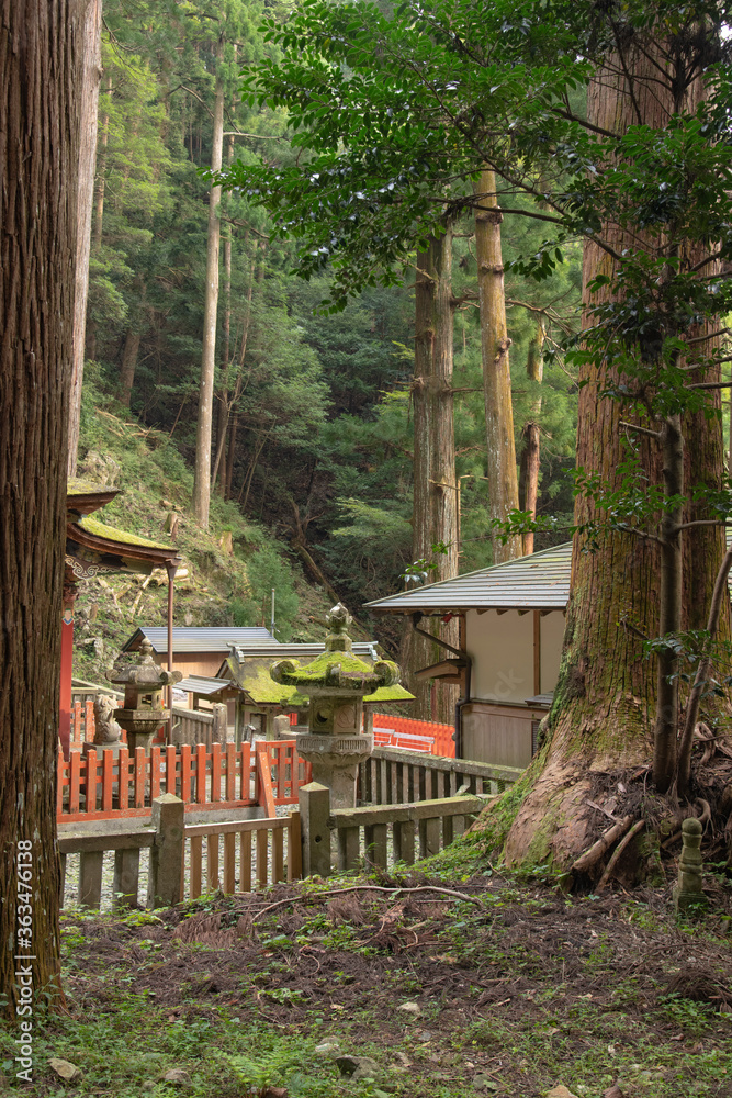 Canvas Prints 新城市　鳳来寺山