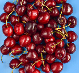 Sweet cherry on a blue background. Dark red cherry berries.