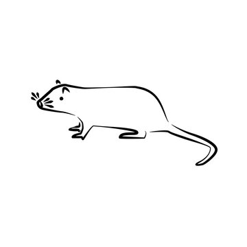 Rat outline simple icon.