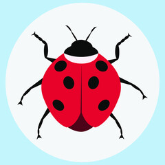 Fototapeta premium Cartoon drawing ladybug. flat style isolated on white background. vector illustration