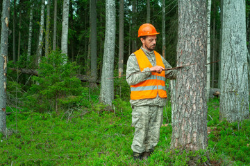 Naklejka na ściany i meble Forest engineer works with a measuring tool in the forest. Forester makes forest taxation. Worker in a vest and hard hat. Real people work.