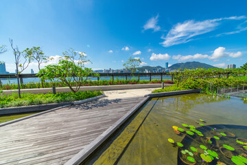Dutch pool and wooden walkway in city center park under blue sky and white clouds.