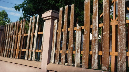 Fototapeta premium Old wooden fence in garden with plant
