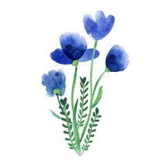 Fototapeta na wymiar Watercolor small bouquet of beautiful fantasy wild blue flowers. Great decorative print for clothes, t-shirts, invitations, gift products. Hand painted illustration isolated on white.