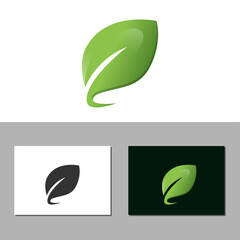 leaf vector design template illustration