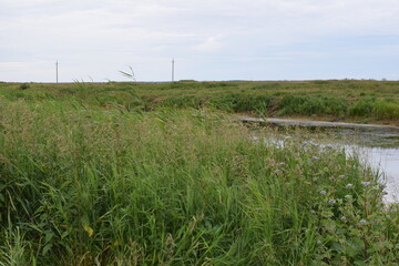 Fish place in Berdyuzhsky district Tyumen region