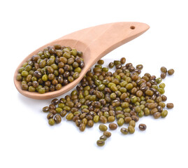 green bean seeds on a white background.