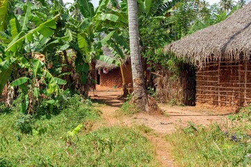 Mud huts in a village in Zanzibar, Tanzania 