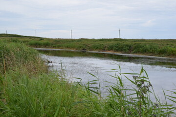 Fish place in Berdyuzhsky district Tyumen region