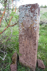 Bitlis, Turkey - 21 May 2011: Ahlat Seljukian Cemetery. Seljuk Period Tombstones.