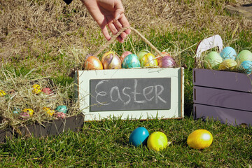 Faceless woman put wooden planter full of colored painted easter eggs in on the green grass. Easter holiday concept