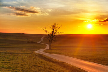 Fototapeta wschód słońca na Sułoszowskich polach obraz
