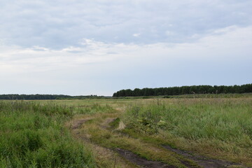 Fish place in Berdyuzhsky district Tyumen region