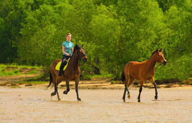 One Caucasian horsewoman is riding on the beach against the background of green trees.