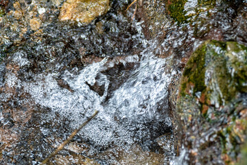 【環境イメージ】山から流れ出す水