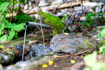 【環境イメージ】山から流れ出す水