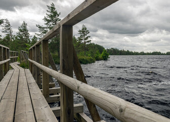 a wooden construction walking bridge in the middle of the swamp. View of the beautiful nature in the swamp - a pond, conifers, moss, clouds and reflections in the water., Nigula Nature Reserve estonia