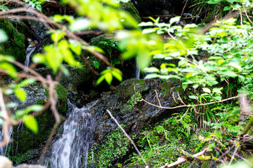 【環境イメージ】山から流れ出す水