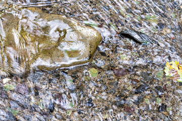 【環境イメージ】山から流れ出す水