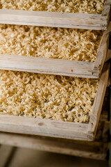 Nudelfabrik, Trocknung der Nudeln