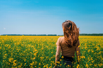 Fototapeta premium A woman with long hair walks in a rapeseed field, a photo taken from the back, the concept of flowering and summer day, a place for the text banner