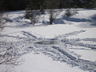 Schnee