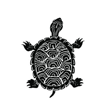 Black and white illustracion of Painted Turtle, in linocut retro vintage style