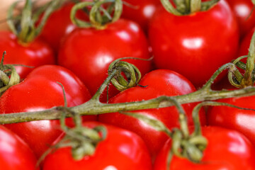Bunch of fine red cherry tomatoes