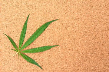 Fresh green cannabis leaf isolated on  brown paper background. Top view. Flat lay.