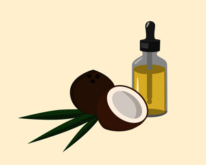 Bottle of coconut saturated oil, whole and half coconut with green leaf. Vector illustration.