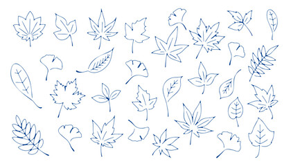 秋の葉っぱ_青インクの線画風