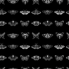 Exotic Moth and Tropical Butterfly Seamless Pattern