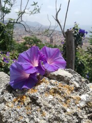 Salerno, Italy