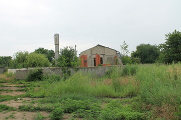 Abandoned hangars and buildings in greenery