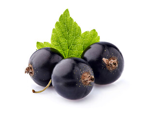 Black currant berries with leaf  on White Background