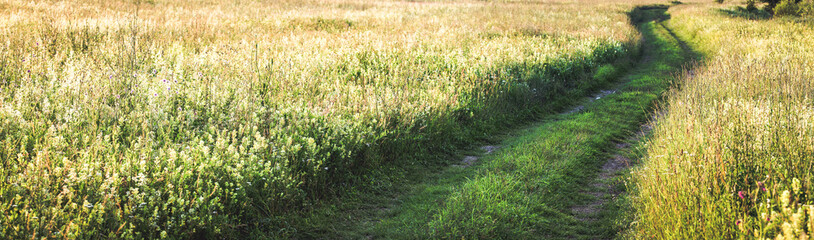 banner of road in summer meadow