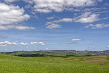 Fototapeta premium Paysage de Toscane en Italie