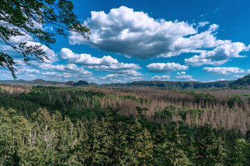 Looking south over the valley from Kuhstall rock formation with dead trees due to beetle damage