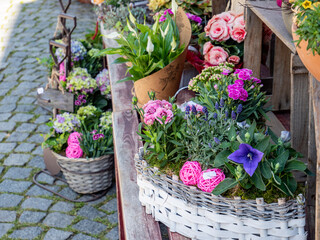 Floristik Blumenladen in der Stadt auf dem Wochenmarkt