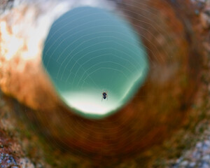  A small spider on a web in a hole in granite. Selective focus.