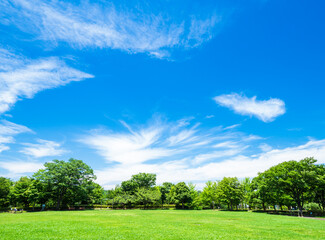 青空が広がる住宅街の公園