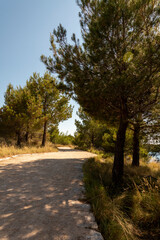 walk in croatia - 363513188