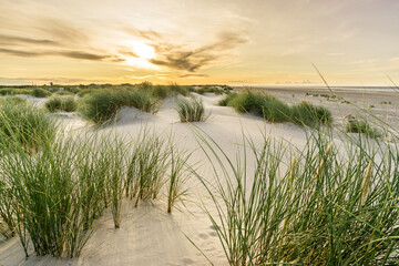Beach with sand dunes and marram grass with soft sunrise sunset back light. Skagen Nordstrand,...
